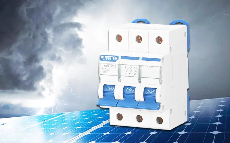 Rollen för dvärgbrytare