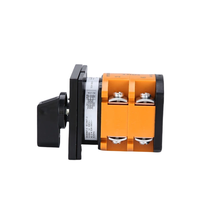 2 Pole Change-Over Rotary Switch